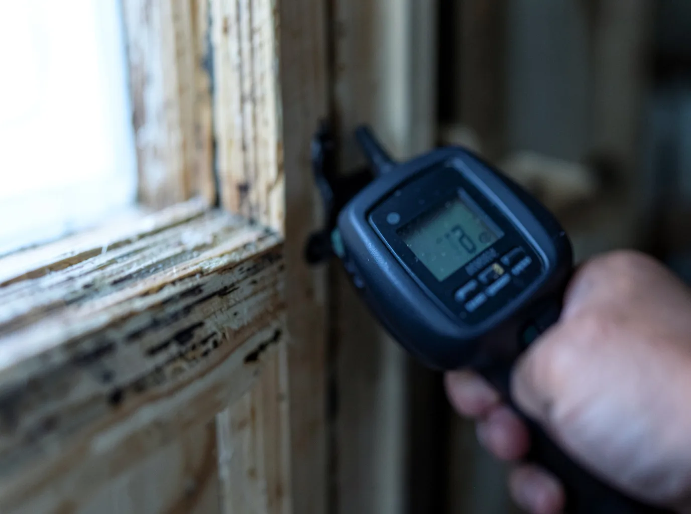 Moisture Inspection And Documentation in Mamou, LA